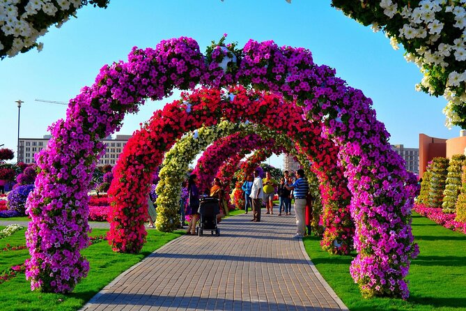 Dubai Miracle Garden Entry Tickets - Butterfly attractions require a closer look
