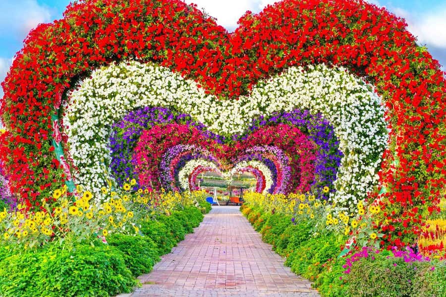 Dubai: Miracle Garden, Global Village, and Dubai Frame - Key points to know before booking
