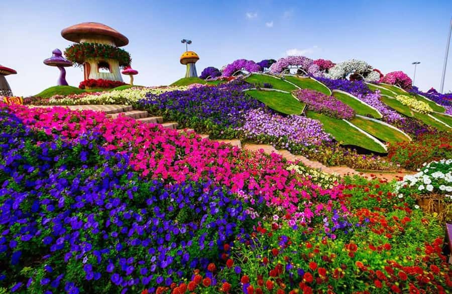 Dubai: Miracle Garden, Global Village, and Dubai Frame - Small details that make the day easier