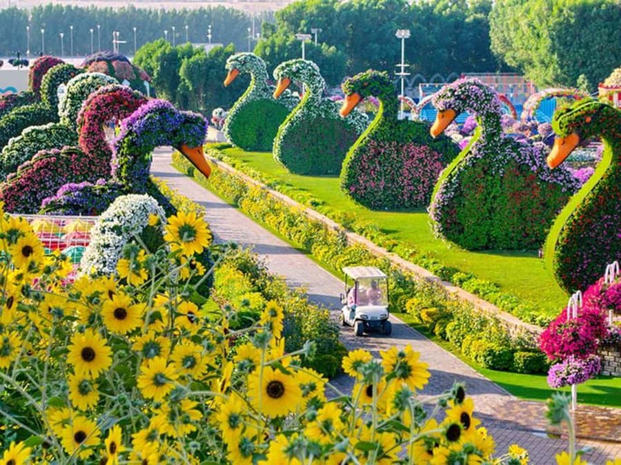 Dubai: Miracle Garden, Global Village, and Dubai Frame - What this Dubai combination actually includes