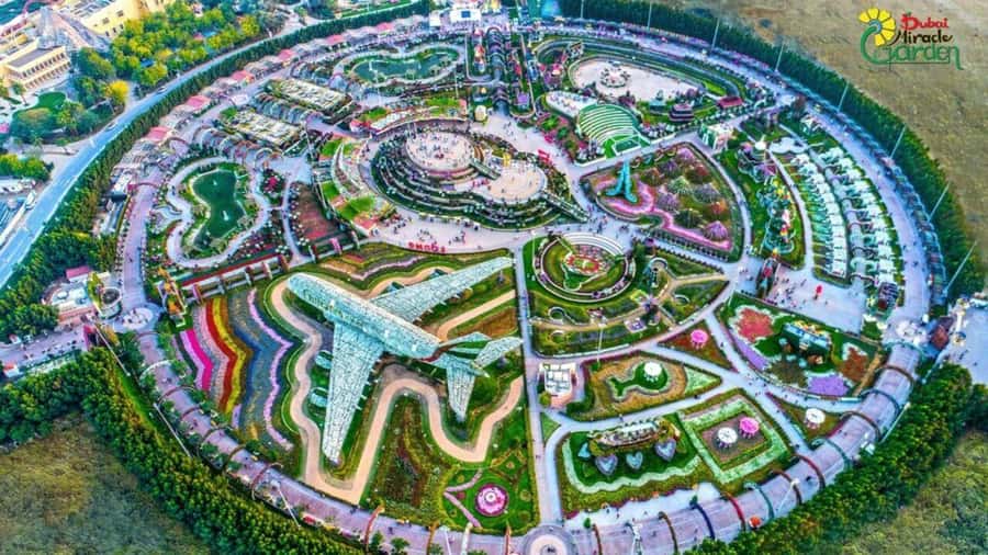 Dubai: Miracle Garden, Global Village, and Dubai Frame - Miracle Garden: a floral show built for cameras