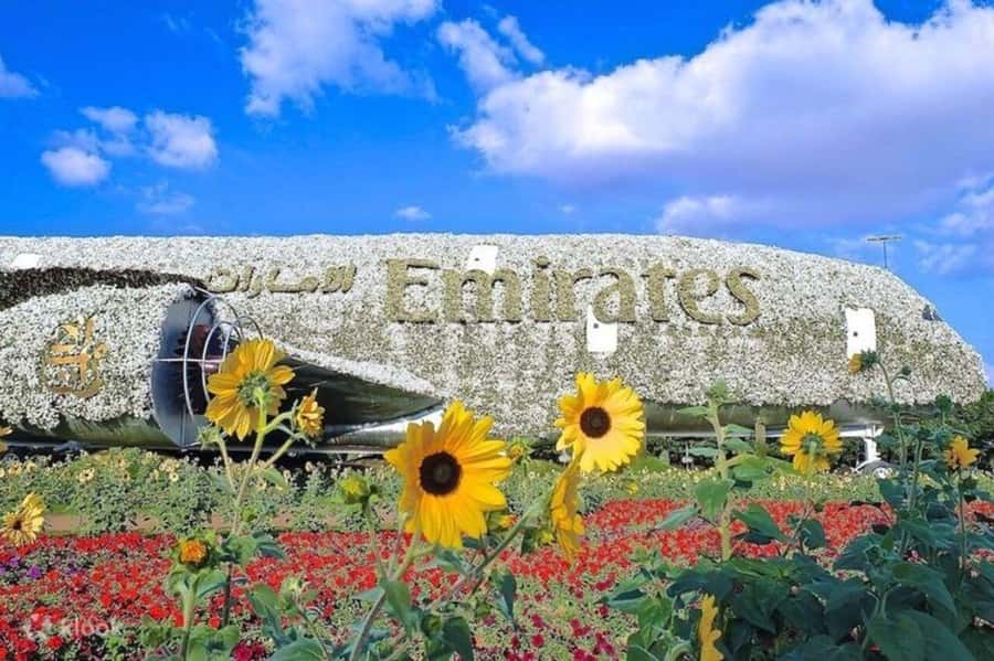 Dubai: Miracle Garden, Global Village, and Dubai Frame - How to plan the timing