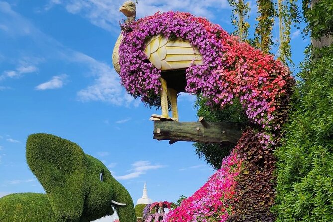 Dubai Miracle Garden Skip the Line E-Ticket and Transport Options - Photography rules and the best way to enjoy the garden