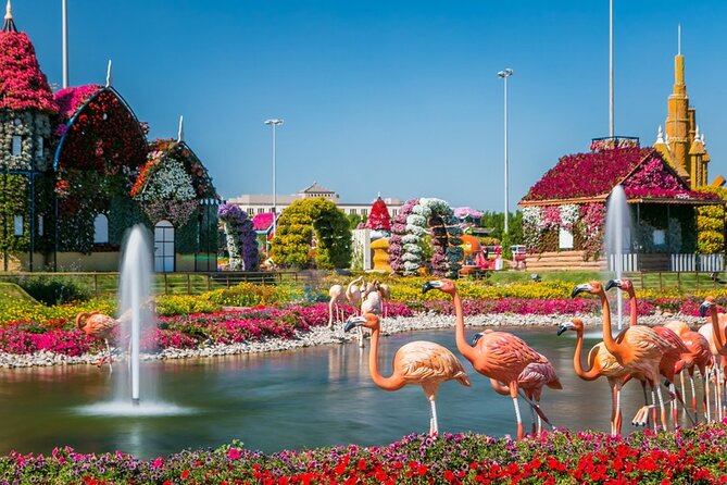 Dubai Miracle Garden Skip the Line E-Ticket and Transport Options - Who will enjoy it most