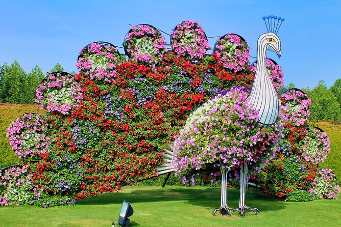 Dubai Miracle Garden Ticket with Transfer - Shared transfers: the convenience comes with conditions