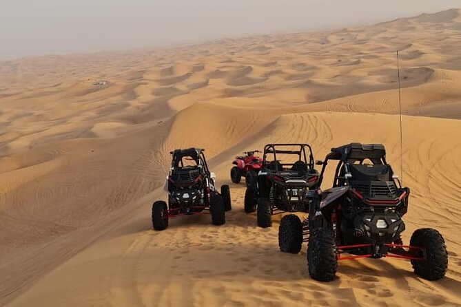 Dubai Morning Buggy Dunes Safari with Sandboarding & Camel Ride - What the hour on the dunes feels like