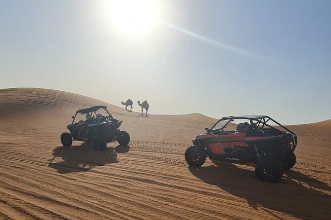 Dubai Morning Buggy Dunes Safari with Sandboarding & Camel Ride - The camel ride and its limits