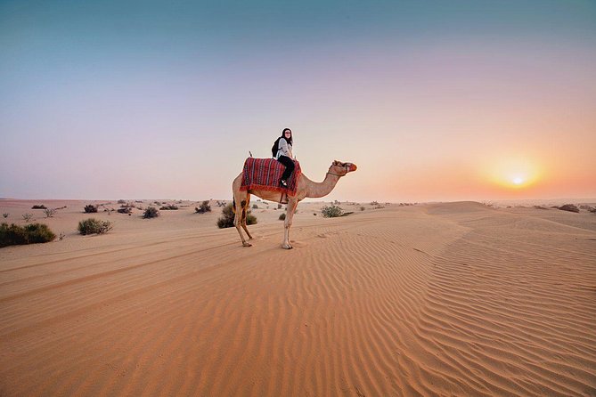 Dubai Morning Desert Safari: Camel Ride & Sandboarding! - Key points to know before booking