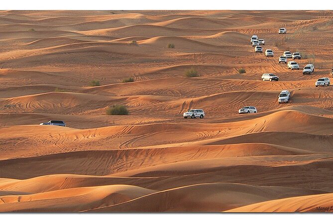 Dubai Morning Desert Safari: Camel Ride & Sandboarding! - Dune bashing for 35 to 40 minutes