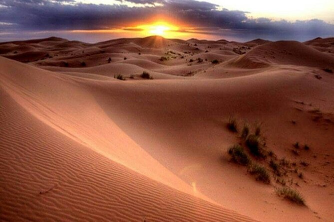 Dubai Morning Desert Safari: Camel Ride & Sandboarding! - Photo stops and quiet time in the sand