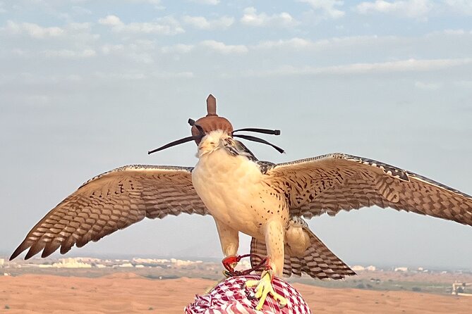 Dubai Morning Desert Safari Red Dune Camel Falcon & Sandboarding - Dune bashing across the red sand