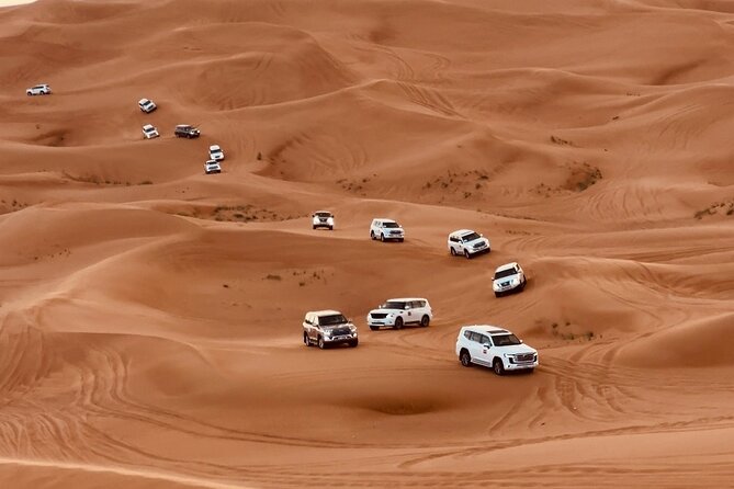 Dubai Morning Desert Safari Red Dune Camel Falcon & Sandboarding - What the $36.28 price really covers