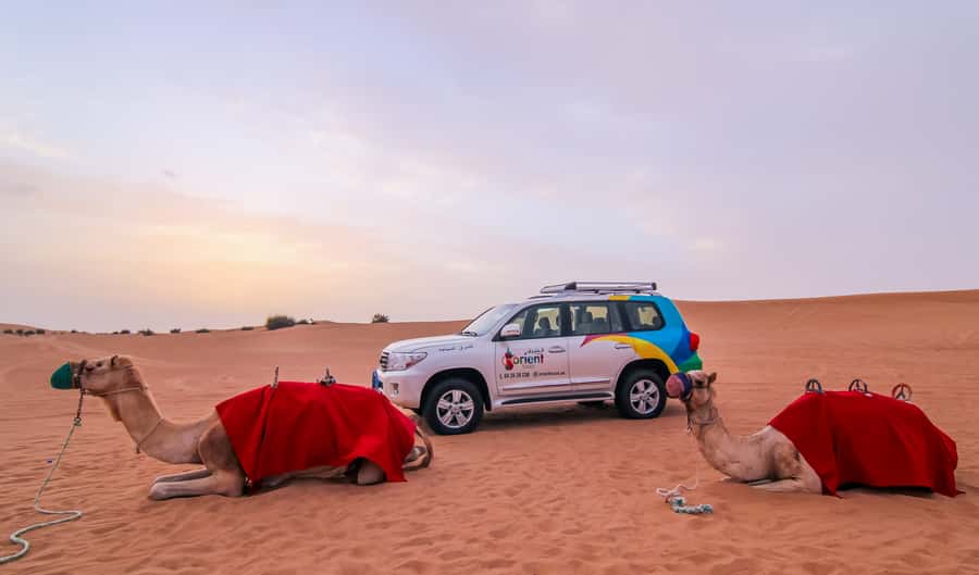 Dubai: Morning Desert Safari with Camel Ride & Sandboarding - Arabic Coffee, Dates, and the Campsite