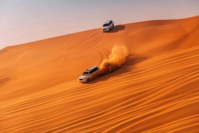 Dubai Morning Desert Safari With Dune Bashing - Private - What 45 minutes of dune bashing feels like