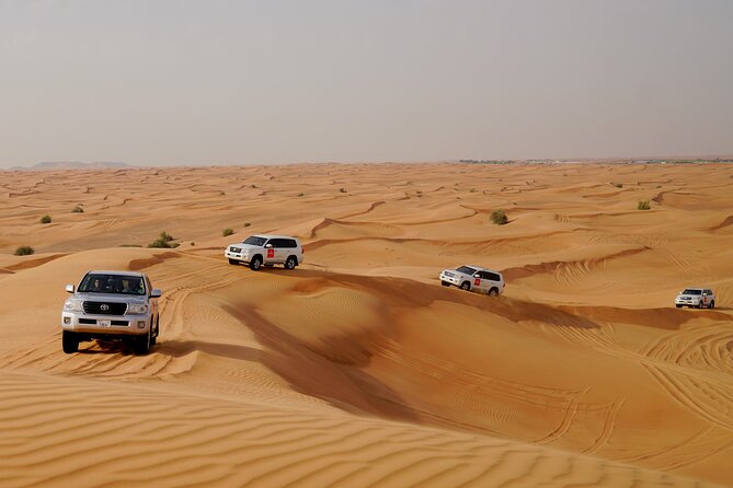 Dubai Morning Desert Safari with Quad Biking & More Activities - The Short Camel Ride and Desert Photo Stop