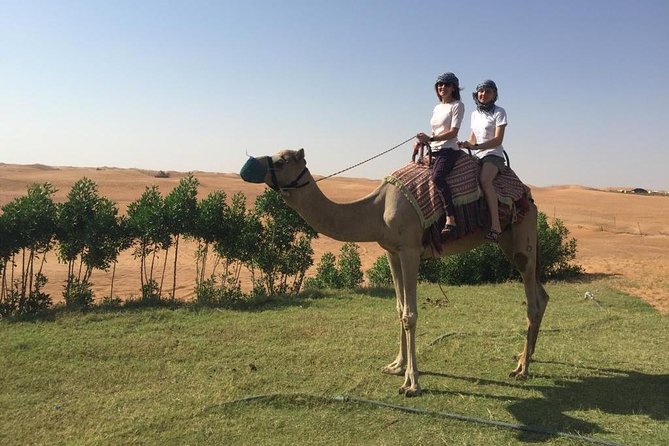 Dubai Morning Desert Safari with Sandboarding & Camel Ride - A camel farm offers a slower change of pace