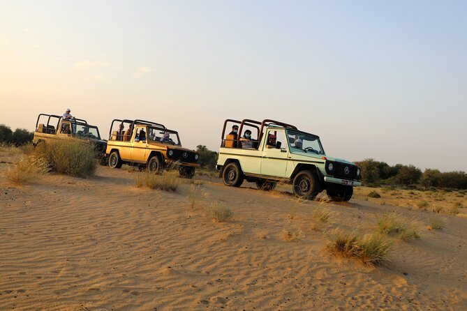 Dubai: Morning Heritage Safari by Vintage G Class & Al Marmoom Oasis - Bedouin breakfast at Al Marmoom Oasis
