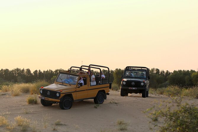 Dubai: Morning Safari by Vintage G Class & Al Marmoom Experience - Why this morning safari feels different