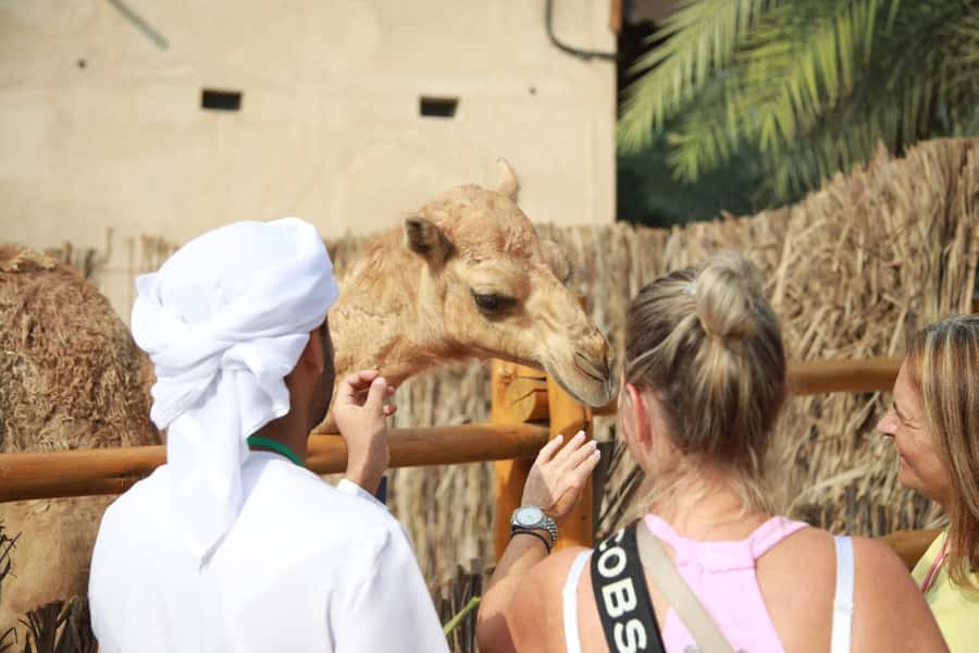 Dubai: Old City Walking Tour with Abra Ride - Why this tour is a smart introduction to Old Dubai