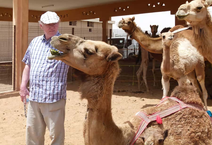 Dubai: Old City Walking Tour with Abra Ride - Starting at Al Seef and Al Bastakiya