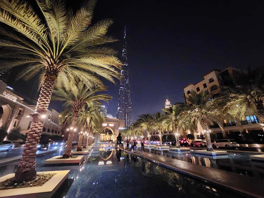 Dubai: Premium Half-Day Dubai Highlights Tour small group - The Museum of the Future: impressive building, limited visit