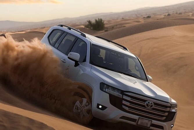 Dubai Premium Red Dunes Safari Camel Ride and BBQ Dinner - Key points to know before booking