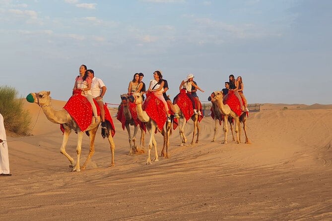 Dubai Premium Red Dunes Safari Camel Ride and BBQ Dinner - Who will enjoy this safari most?