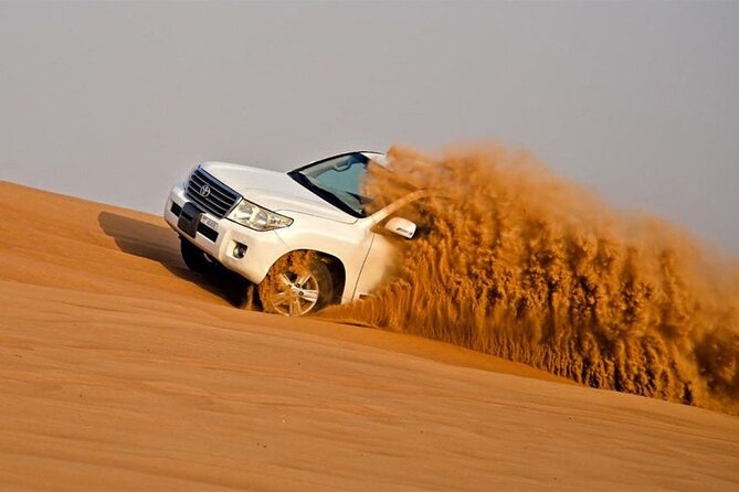 Dubai Premium Red Dunes Safari Camel Ride and BBQ Dinner - Lahbab and the first camel ride