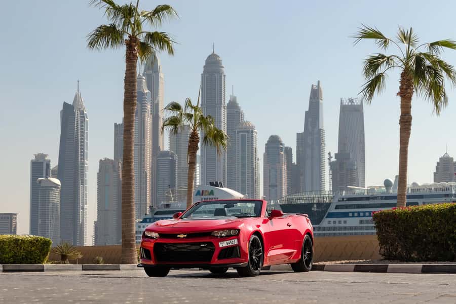 Dubai: Private City Sights Tour in a Cabriolet Convertible - Dubai Marina and the night-time mood