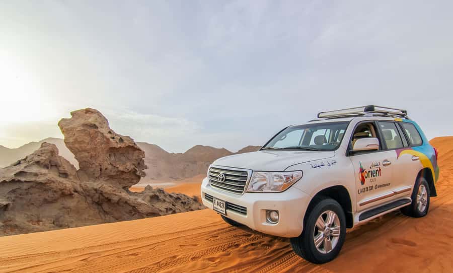 Dubai: Private Desert Day Tour and Wadi Shawka Pool Visit - Who should choose this experience?