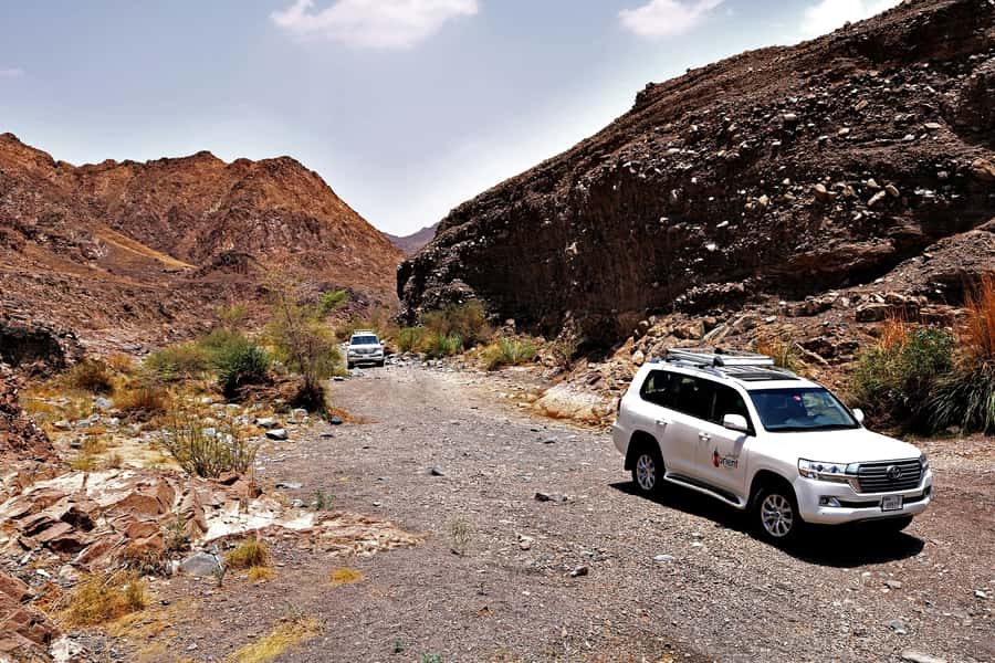 Dubai: Private Desert Day Tour and Wadi Shawka Pool Visit - Best season and preparation tips