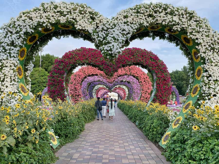 Dubai: Private Dubai Flora and Fauna Trip - What the $102 price includes