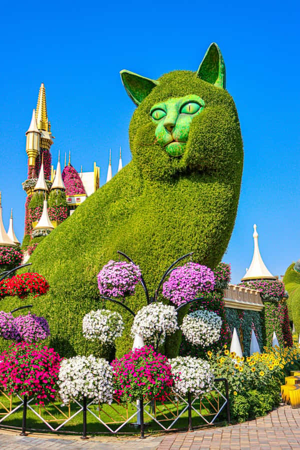Dubai: Private Dubai Flora and Fauna Trip - Who should book this private garden outing