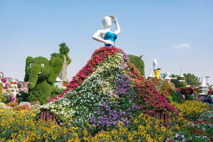 Dubai: Private Dubai Flora and Fauna Trip - Timing, comfort, and useful preparation