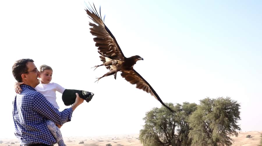 Dubai: Private Falconry Safari - Key points at a glance