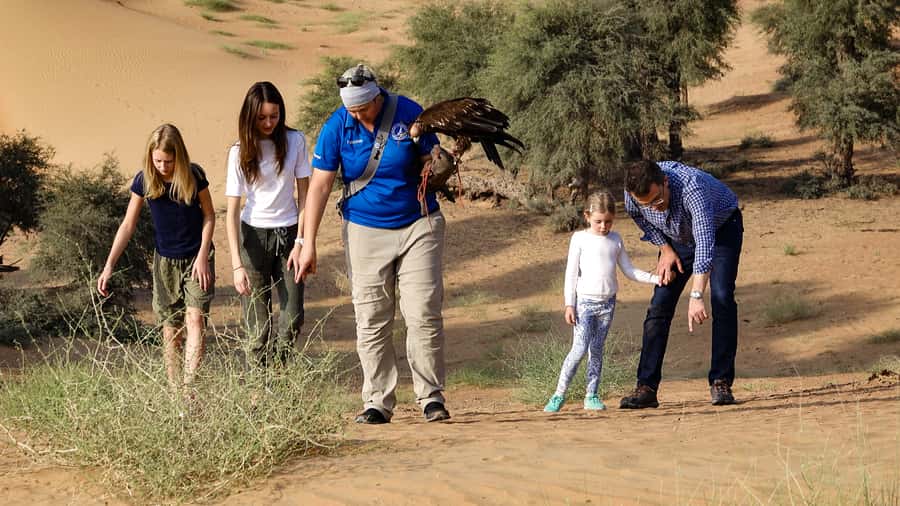 Dubai: Private Falconry Safari - Why this falconry safari feels different from a standard desert tour