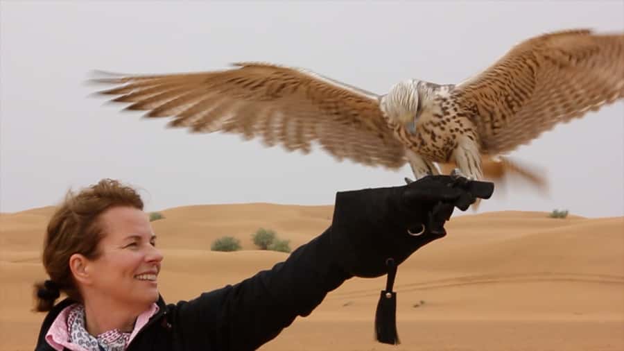 Dubai: Private Falconry Safari - The peregrine falcon and the drone flight