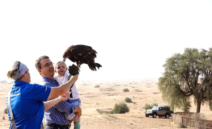 Dubai: Private Falconry Safari - The early 4WD ride into the conservation reserve