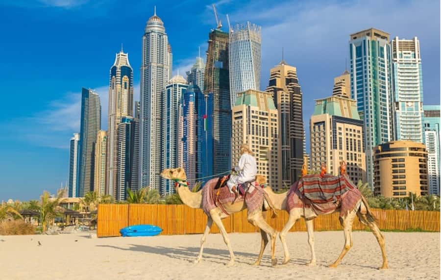 Dubai: Private Half-Day Sightseeing Tour - Jumeirah Mosque and the beach