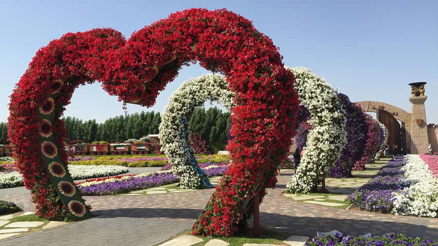 Dubai: Private Miracle Garden & Global Village Trip - What this private Dubai day actually feels like