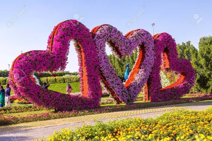 Dubai: Private Miracle Garden & Global Village Trip - Miracle Garden: floral spectacle in the desert