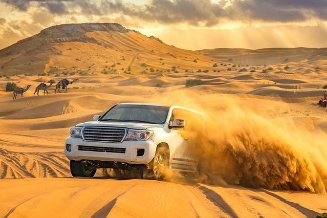 Dubai Private Morning Desert Safari: Camel Ride & Sandboarding - Why a private morning safari works well in Dubai