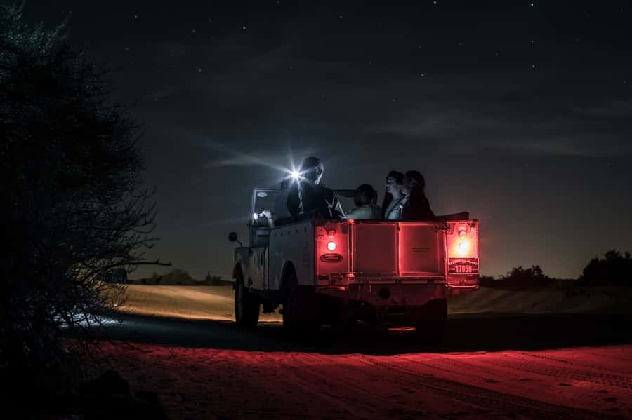 Dubai: Private Night Safari & Astronomy with 3-Course Dinner - Key Points at a Glance