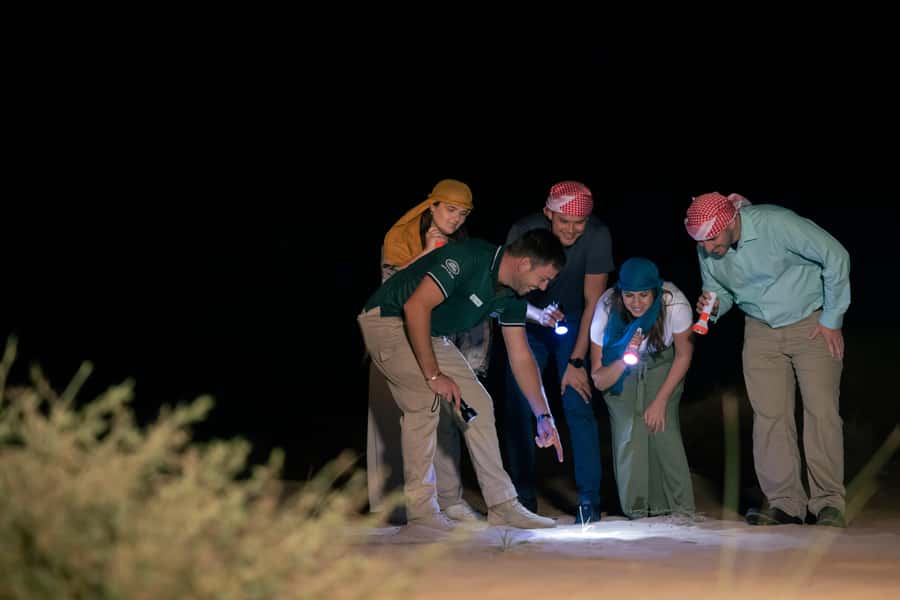 Dubai: Private Night Safari & Astronomy with 3-Course Dinner - Is $816 Per Person a Fair Price?