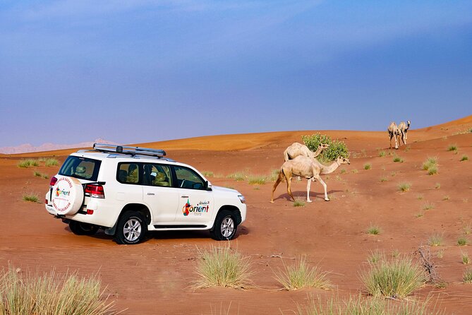 Dubai Private Premium Desert Safari with BBQ Dinner in 4WD - What the $126 price really buys