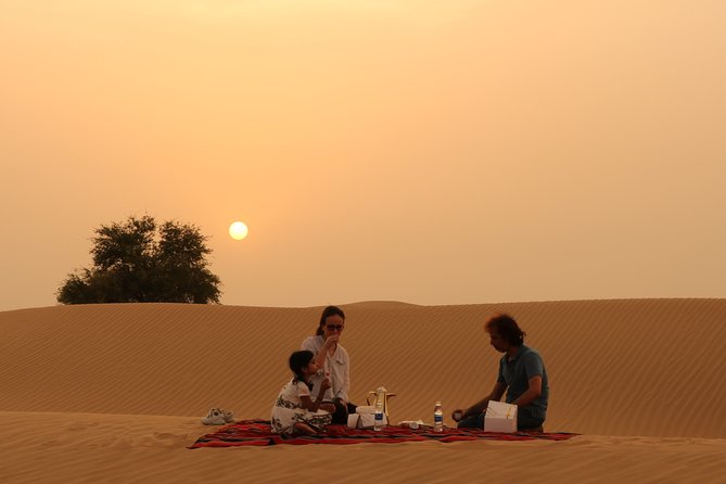 Dubai Private Sunset Desert Drive with Wildlife Experience - Learning to sandboard on orange dunes