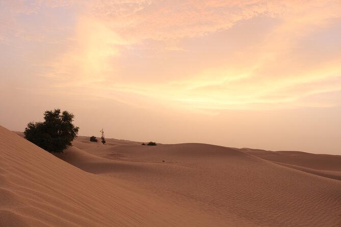 Dubai Private Sunset Desert Drive with Wildlife Experience - Al Qudra Lakes and the quieter side of the desert