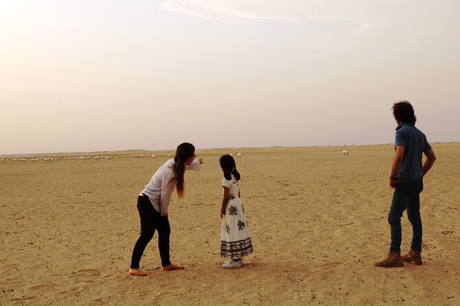 Dubai Private Sunset Desert Drive with Wildlife Experience - Arabian oryx, gazelles, and realistic wildlife expectations