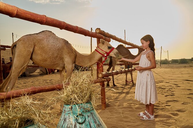 Dubai Private VIP Desert Dinner and Live Entertainment Show - Sandboarding and desert photo time