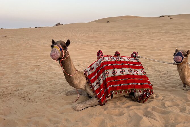 Dubai Red Desert Safari on Private 4x4, Sand Boarding, Camel 4hrs - Sandboarding in the quiet desert